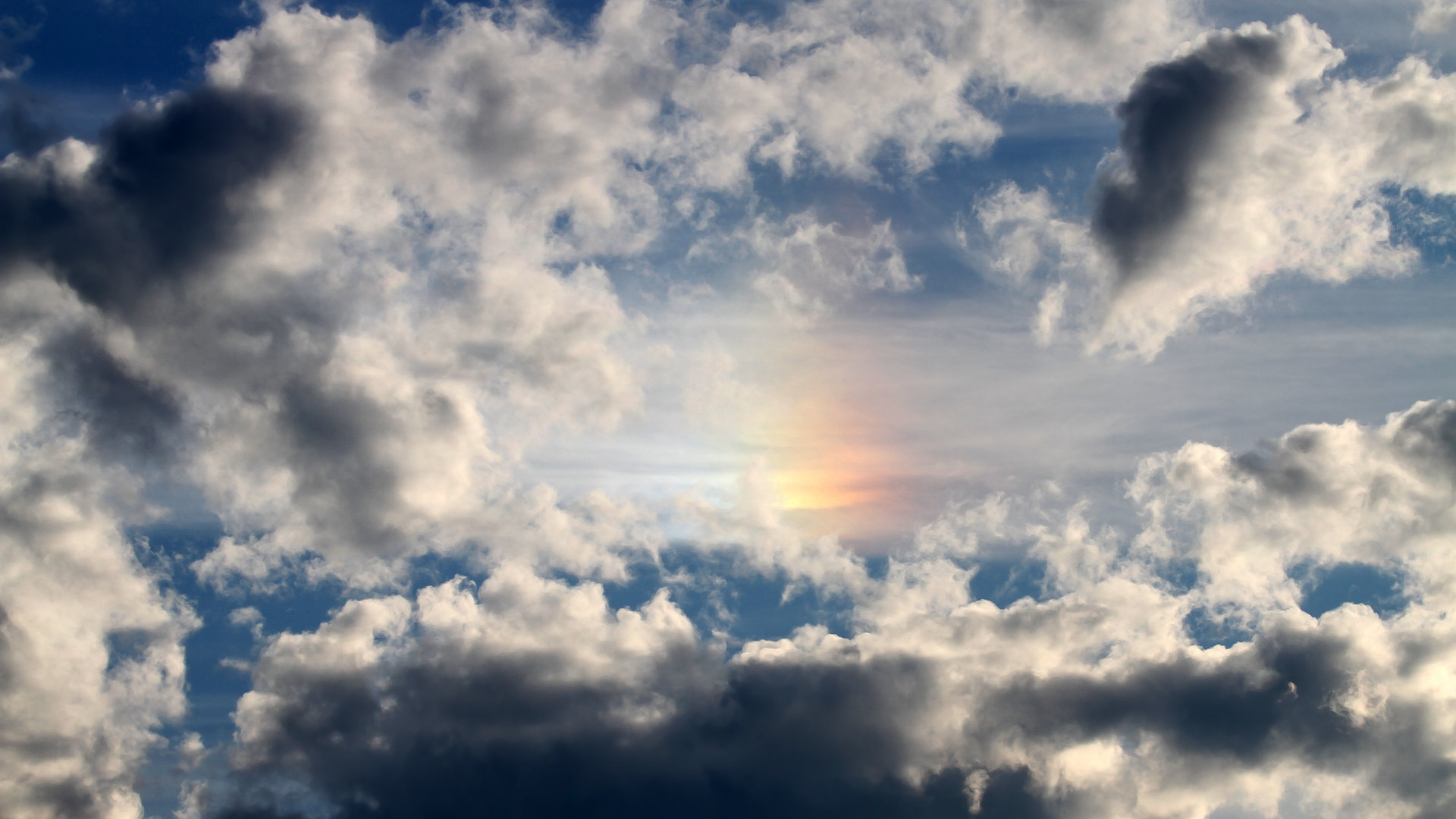 开云·体育官网APP下载-德甲：多特在最后5分钟破门逆转对手，追赶拜仁压力不断，多特德乙