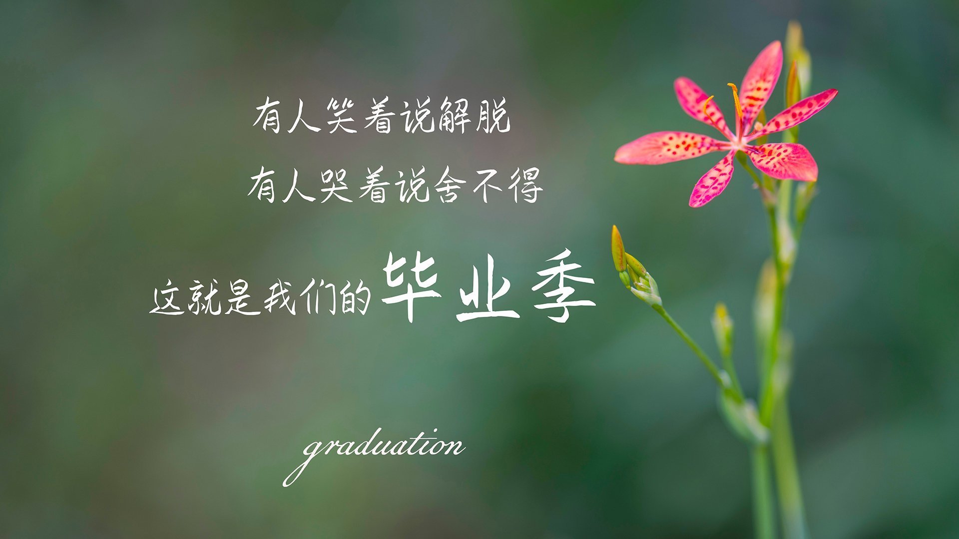 日本代表团以巴黎奥运会为目标，视亚运会为“试金石”。，奥运会日本代表团入场