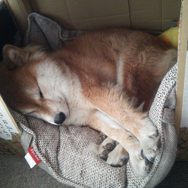 开云kaiyun-兰斯客场大胜特鲁瓦，取得联赛连胜，兰斯干拿对特雷勒堡