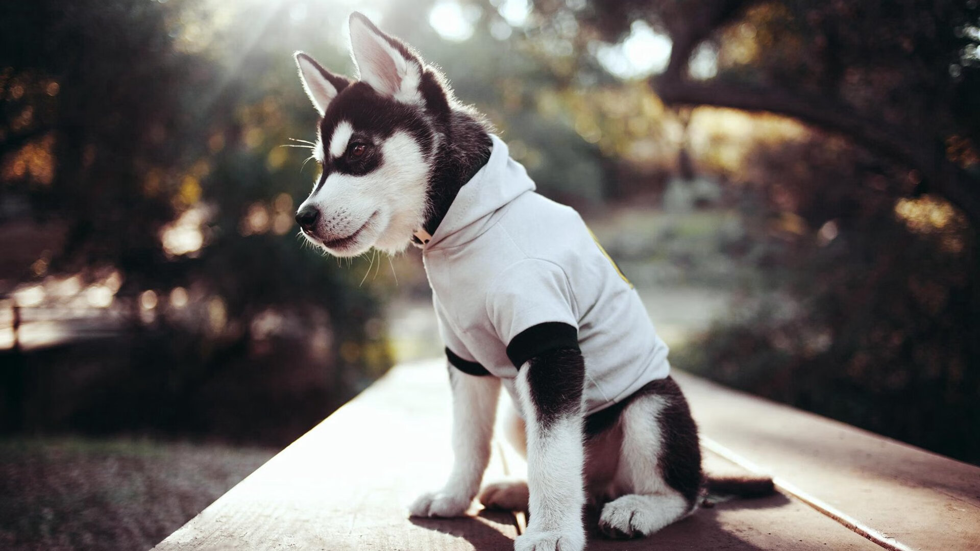 KAIYUN 中国大陆-国足夺冠希望大增，冲刺国际比赛冠军，国足集体观看夺冠