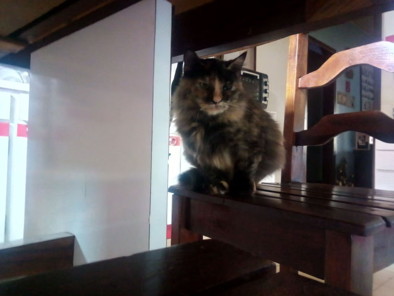 开云网站-塞尔维亚国家队备战世锦赛，塞尔维亚国家队备战世锦赛了吗