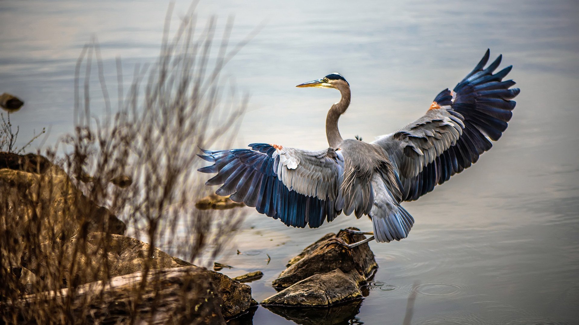 开云官网-官方乒乓球奥运备战名单出炉，乒乓球备战奥运会