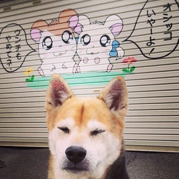 开云官网-法兰克福球员努力拼搏，力争取得关键三分，法兰克福是什么球队