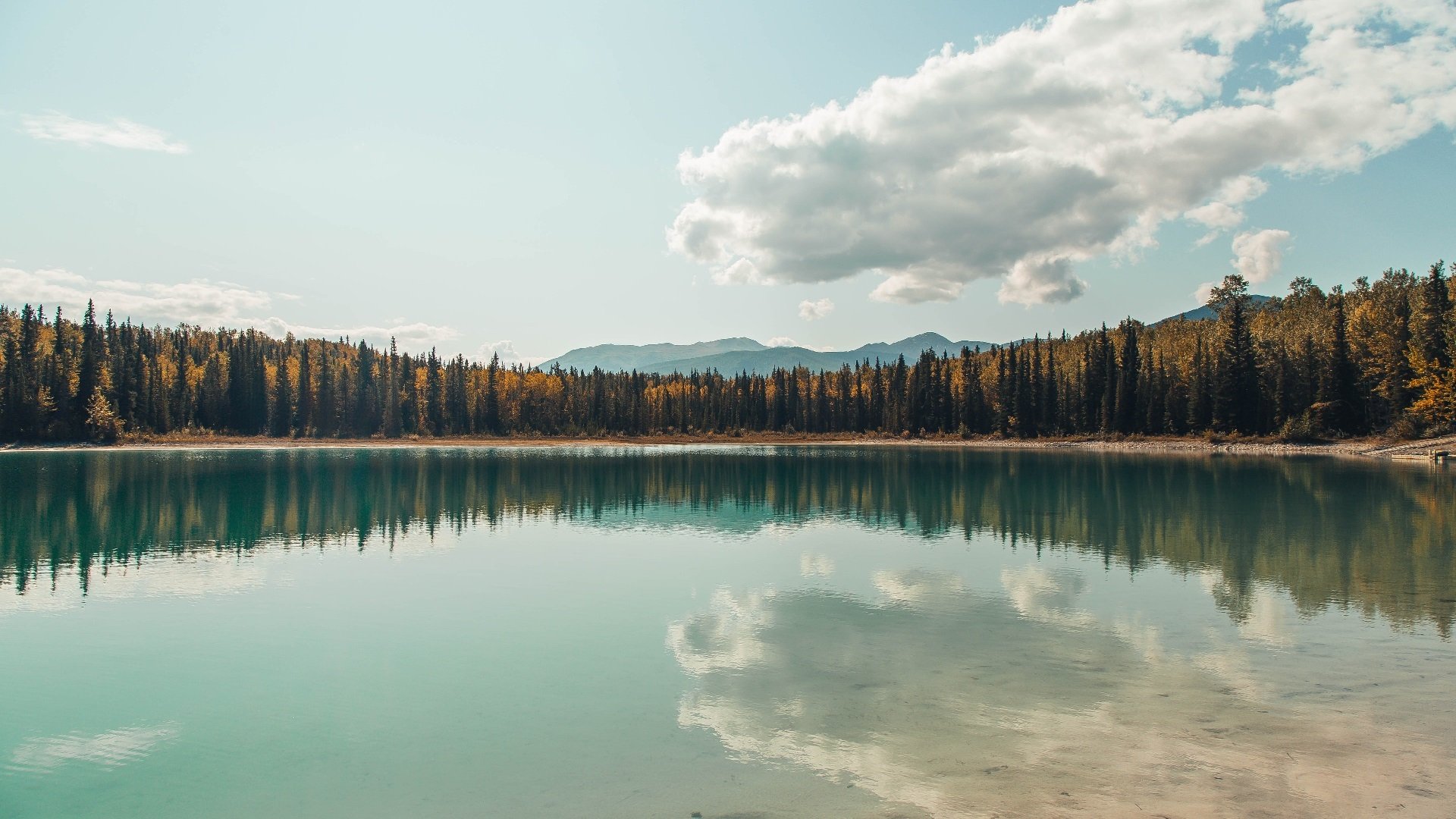 霍芬海姆球队攻守俱佳,实现胜利之路,霍芬海姆首发