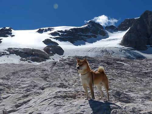 泰国马术协会与科技公司合作，开发虚拟现实训练平台，提升骑手技能。