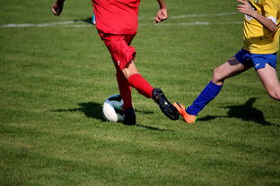 Kaiyun官方登录入口-世界青少年自行车赛中国骑手再创佳绩，2020全国青少年自行车锦标赛