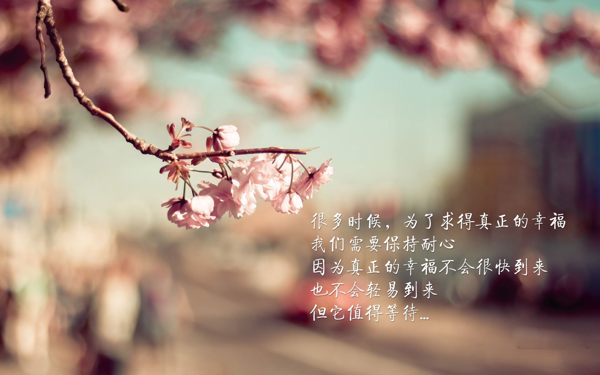 开云网页版登录入口-中国足球航母战术研究报告，中国航母战略规划