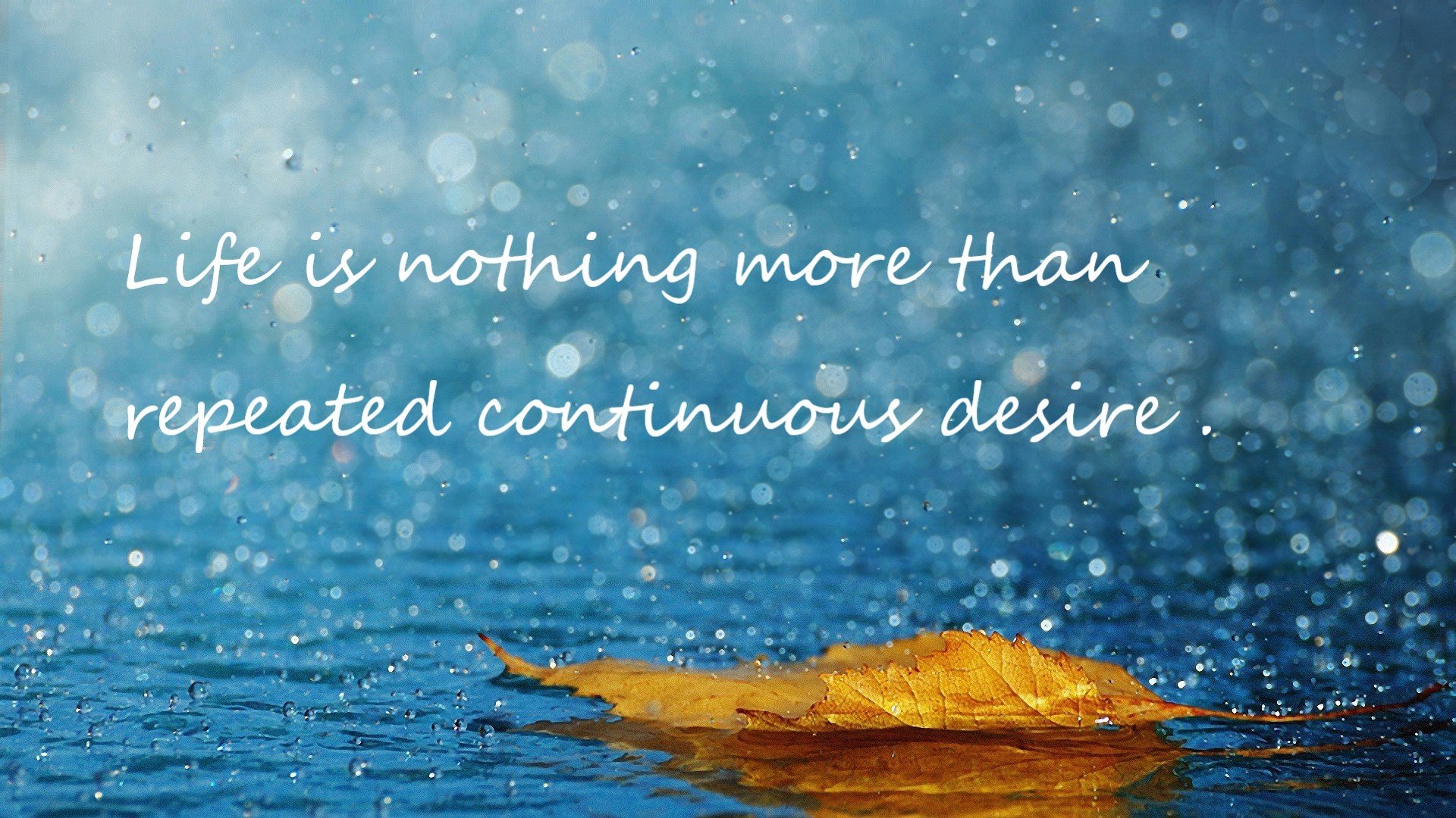 开云体育APP下载-中国体操新星首次亮相国际赛场表现不俗，中国体操运动员比赛视频2021