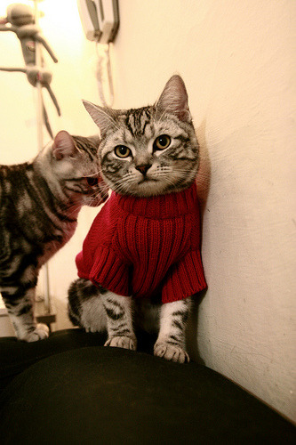 kaiyun中国官方网站-中国三人篮球男队拓展战术深度多点开花，中国三人篮球队员资料