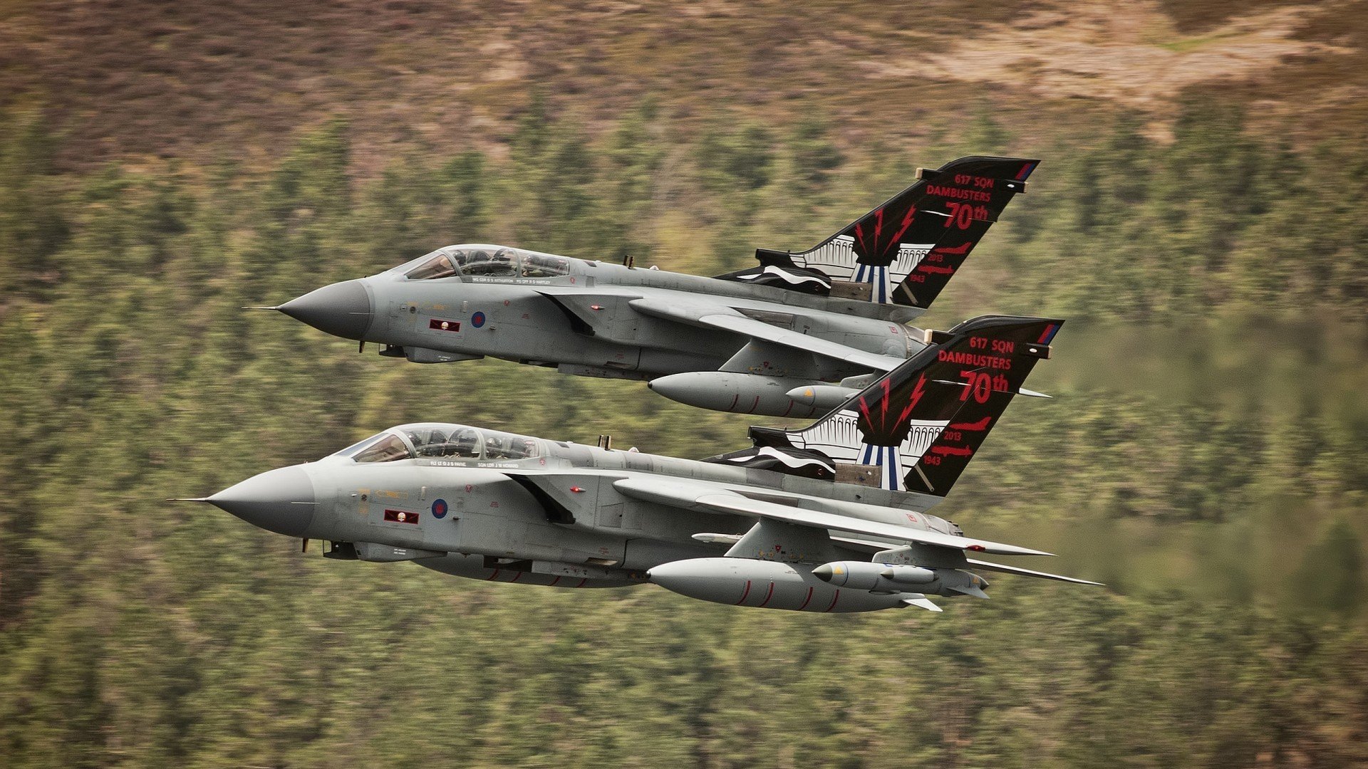 开云网页版登录入口-亚洲杯中国队夺冠 球迷沸腾庆祝胜利，亚洲杯冠军中国队