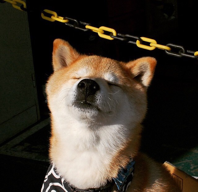 奥预赛中国足球战败 球迷分析比赛失误，中国足球比赛怎么样了