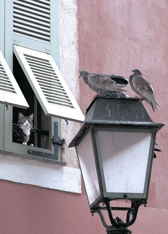 开云kaiyun-该项目配速策略调整成效明显，该项目配速策略调整成效明显的原因