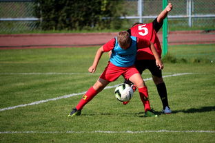 开云官网-足球俱乐部建设标准发布 加强青训基地建设，足球俱乐部青训招生