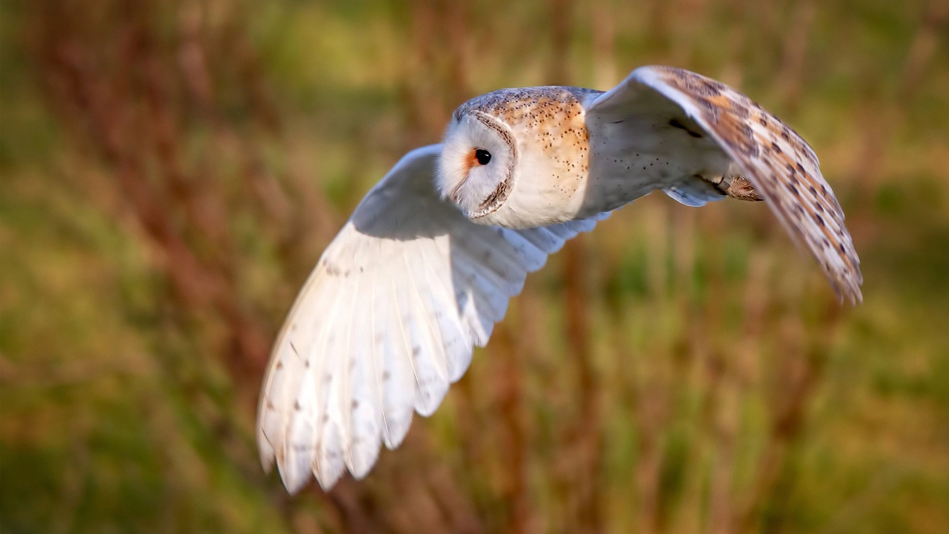 开云·体育官网APP下载-中超青年球员出场比例持续提升体现培养成效，中超年轻中场