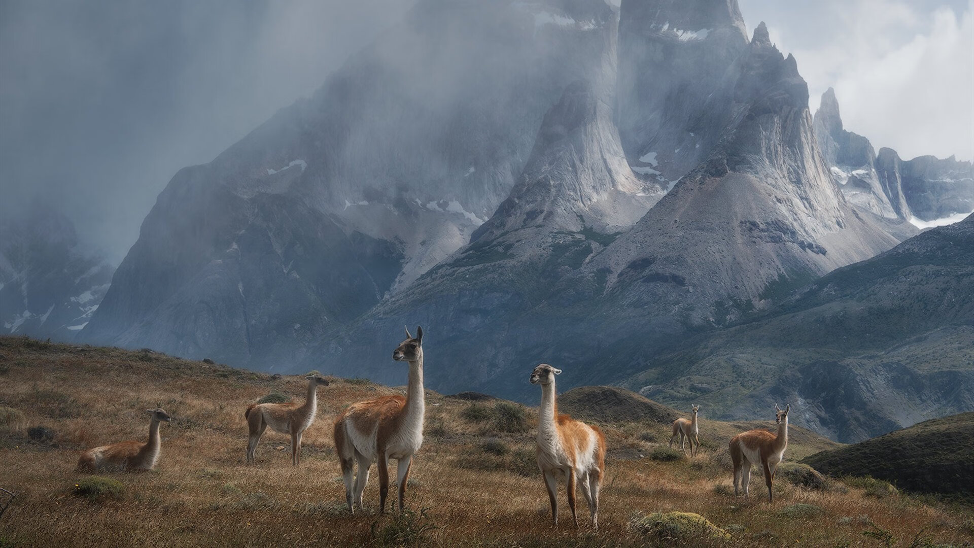 仰泳新秀摩纳哥表现超预期