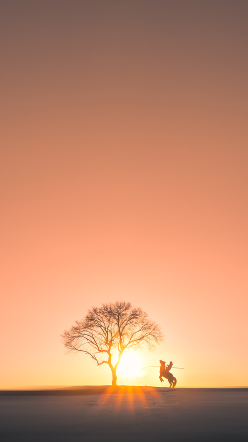 乔治·巴尔:全黑队战术执行的关键球员,场上视野出色,乔治巴德优