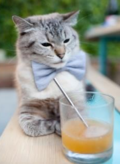 开云平台-国际足联推动裁判全员培训，保证比赛判罚的专业性和公平性，国际足球比赛主裁判有几名