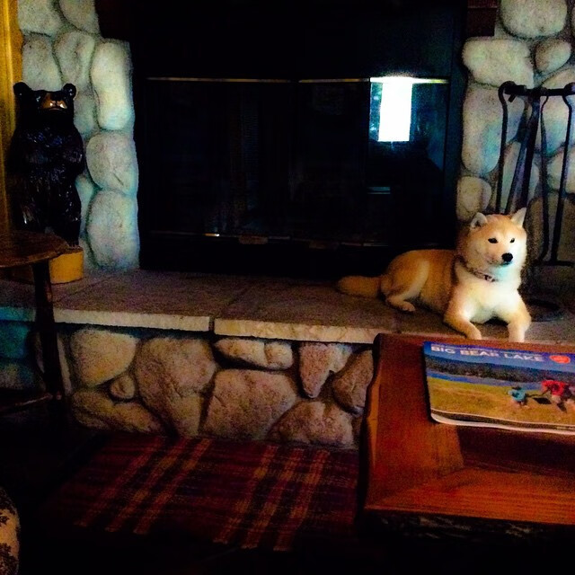 Kaiyun(中国)开云-欧洲杯黄金时段：战术瞬间的奇迹发生，欧洲杯精选时间