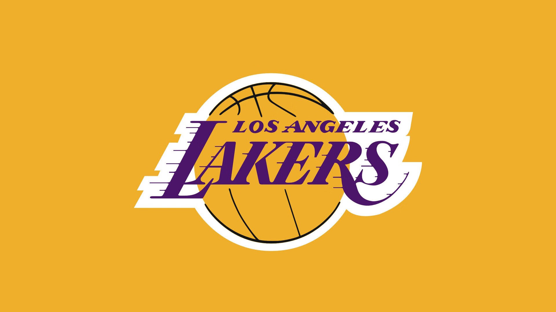 伊朗散打队夺2金3银1铜，展现强劲实力，伊朗拳击世界冠军